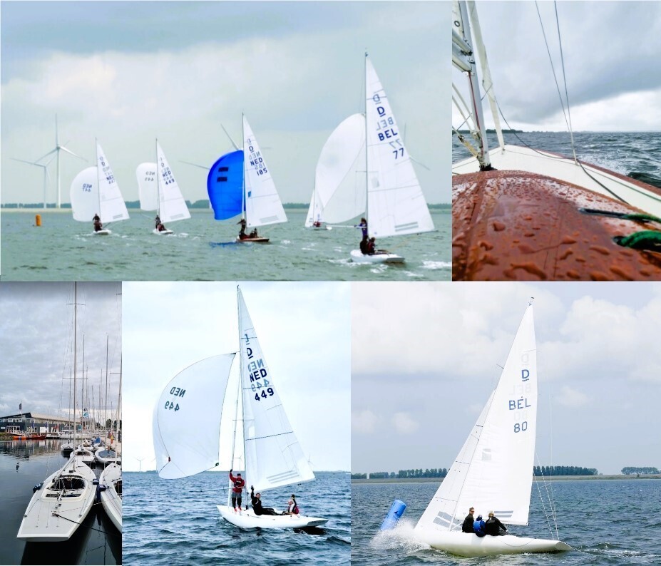 2025-lowlands-cup9